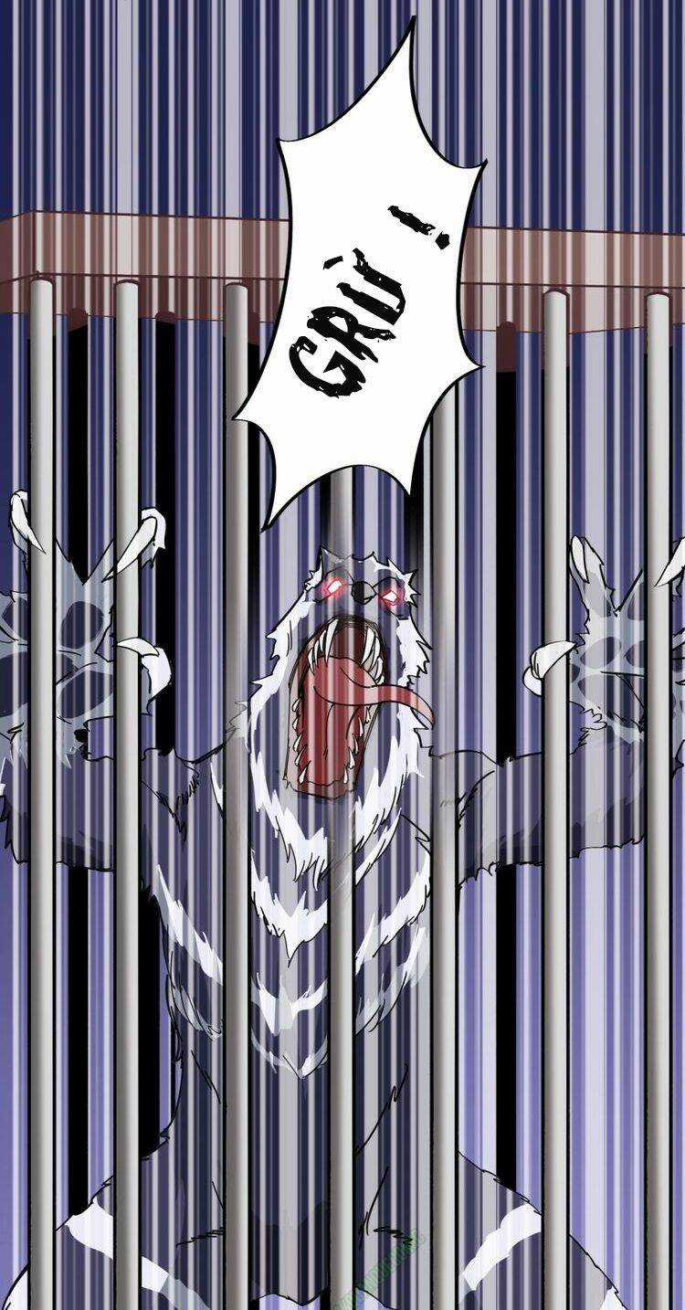 Ta Luyện Giả Kim Trong Thời Đại Tu Tiên Chapter 47 trang 12