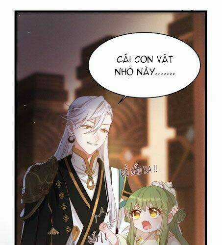 Ta Mới Không Gả Cho Hoàng Tử Phản Diện Chapter 0 trang 23