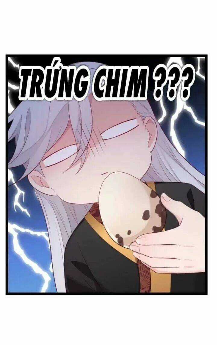 Ta Mới Không Gả Cho Hoàng Tử Phản Diện Chapter 10 trang 37