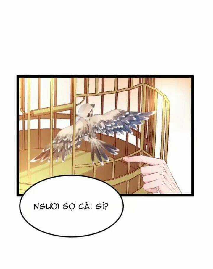 Ta Mới Không Gả Cho Hoàng Tử Phản Diện Chapter 11 trang 8