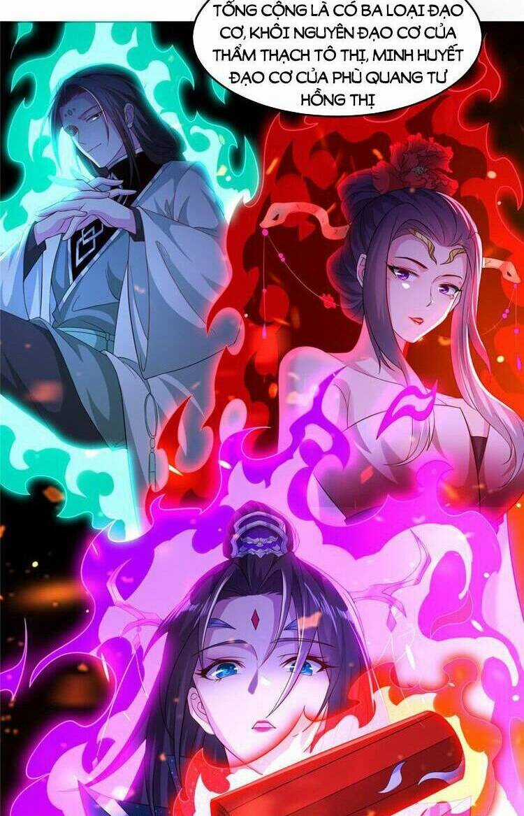 Ta Muốn An Tĩnh, Hệ Thống Lại Bắt Ta Tìm Chết Chapter 103 trang 33