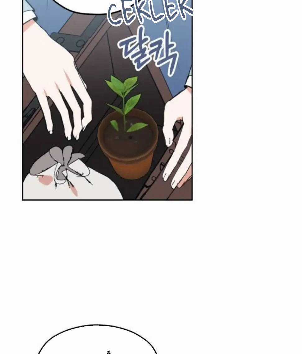 Ta Muốn Biến Phu Quân Thành Bá Chủ Chapter 75 trang 39