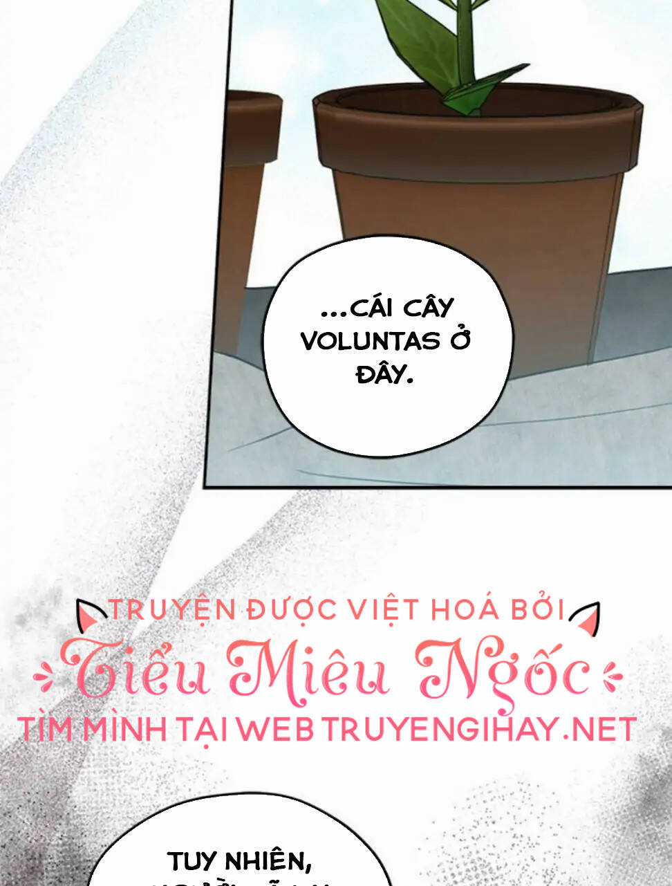 Ta Muốn Biến Phu Quân Thành Bá Chủ Chapter 78 trang 15