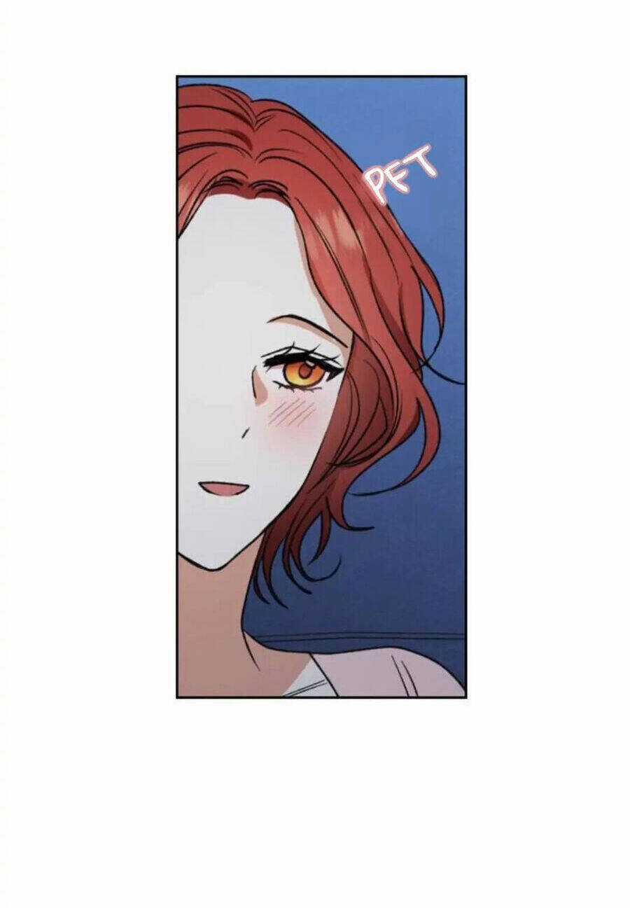 Ta Muốn Biến Phu Quân Thành Bá Chủ Chapter 85 trang 67