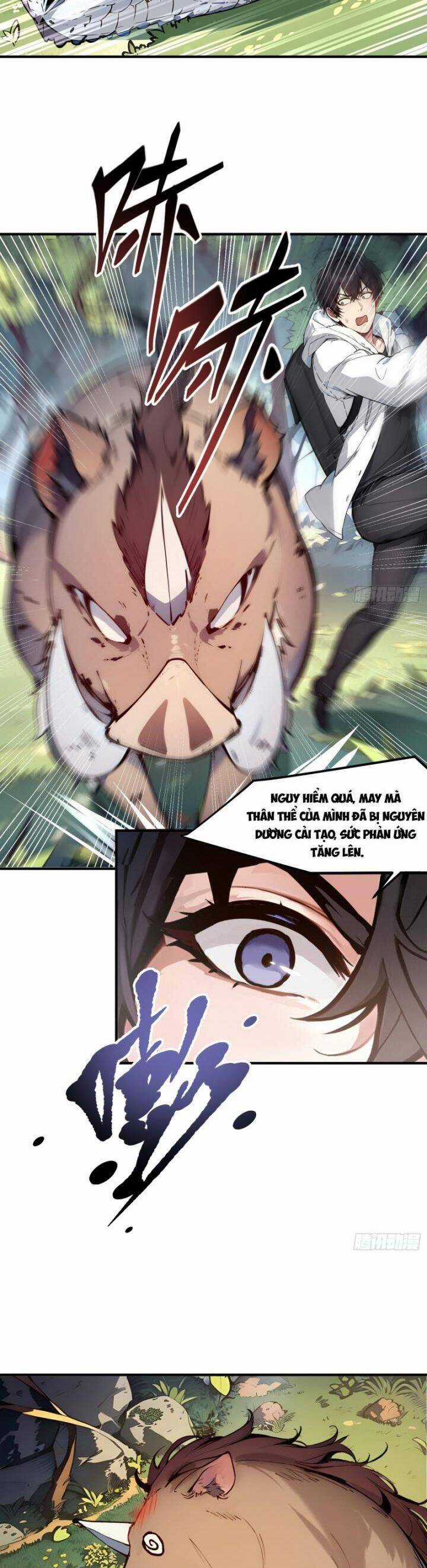 Ta Nắm Giữ Linh Khí Thức Tỉnh Chương 8 trang 13