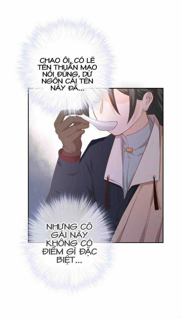 Ta Nấu - Chàng Giết Chapter 23 trang 23