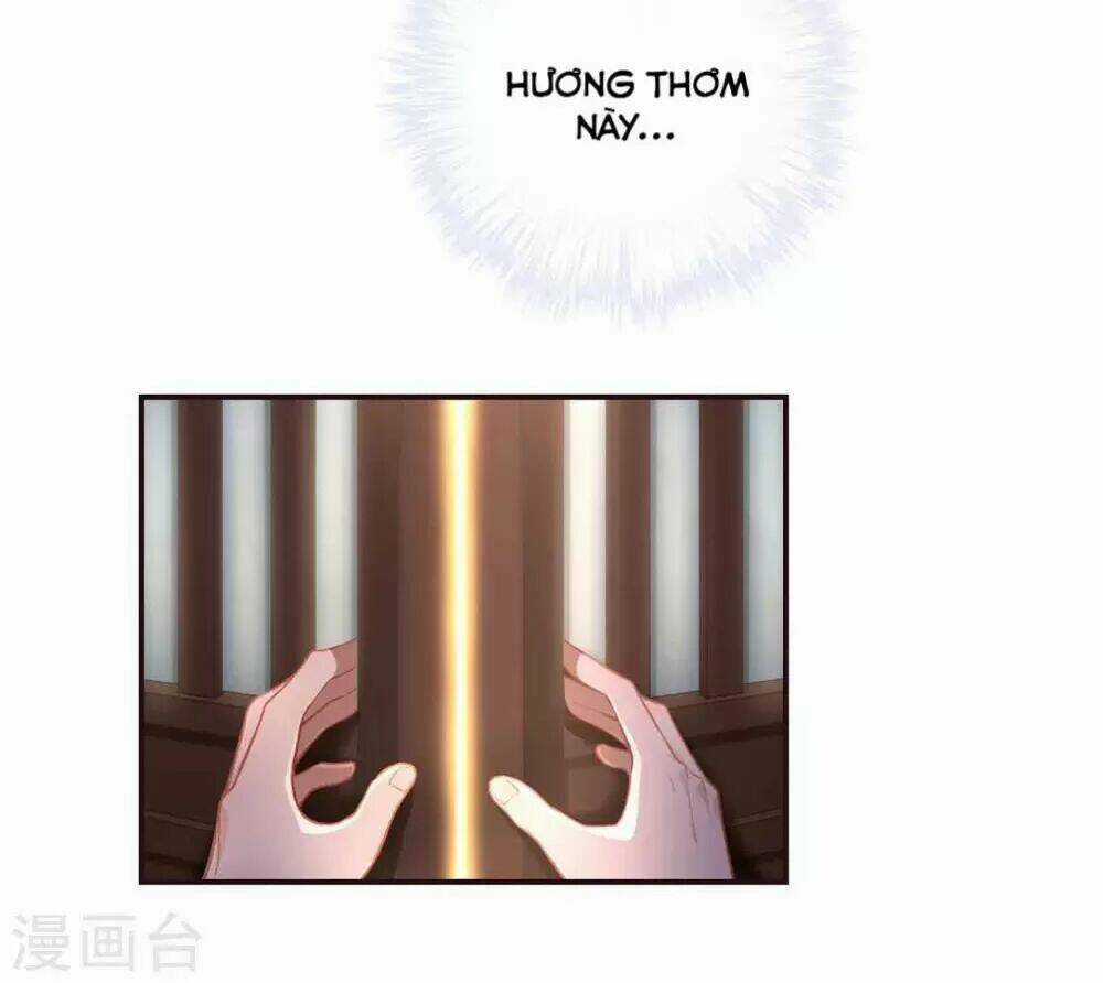 Ta Nấu - Chàng Giết Chapter 29 trang 61