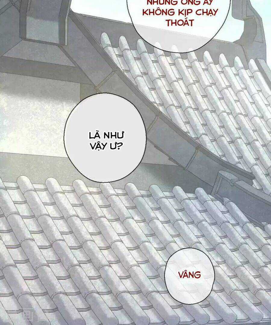 Ta Nấu - Chàng Giết Chapter 37 trang 12