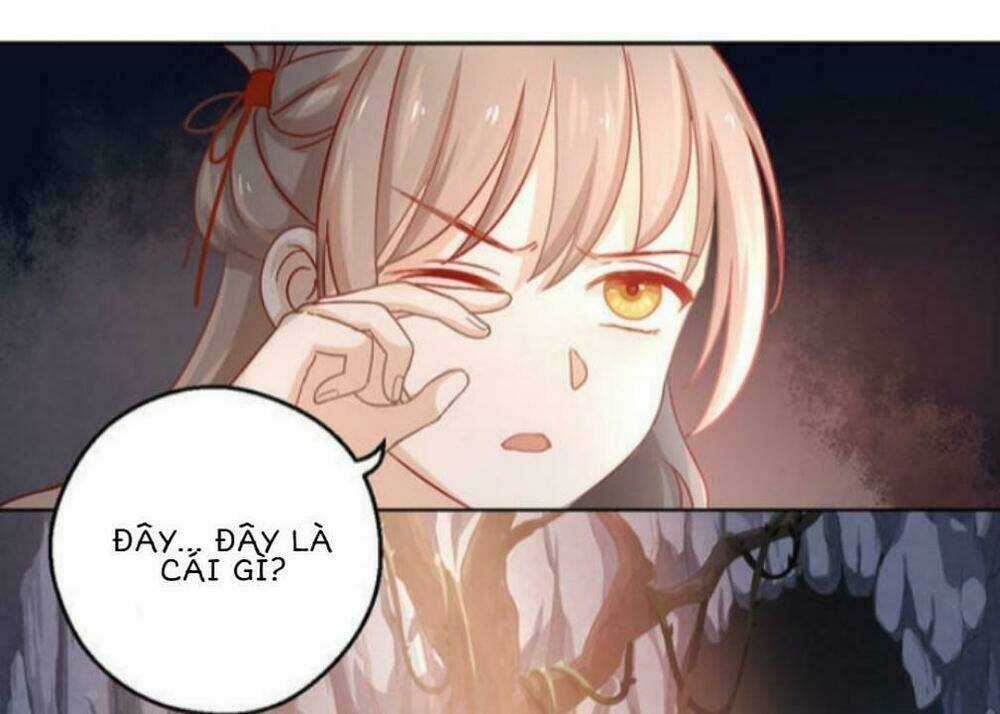 Ta Nấu - Chàng Giết Chapter 4 trang 12