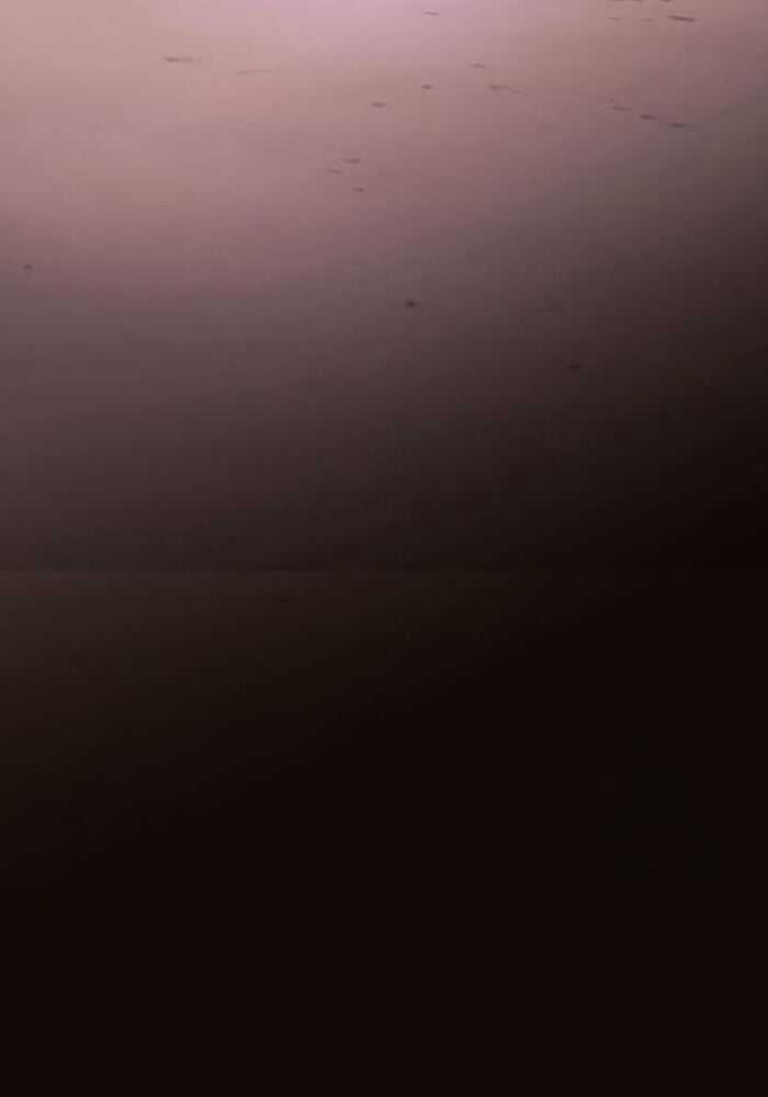 Ta Nhận Được Vật Phẩm Thần Thoại Chapter 114 trang 194