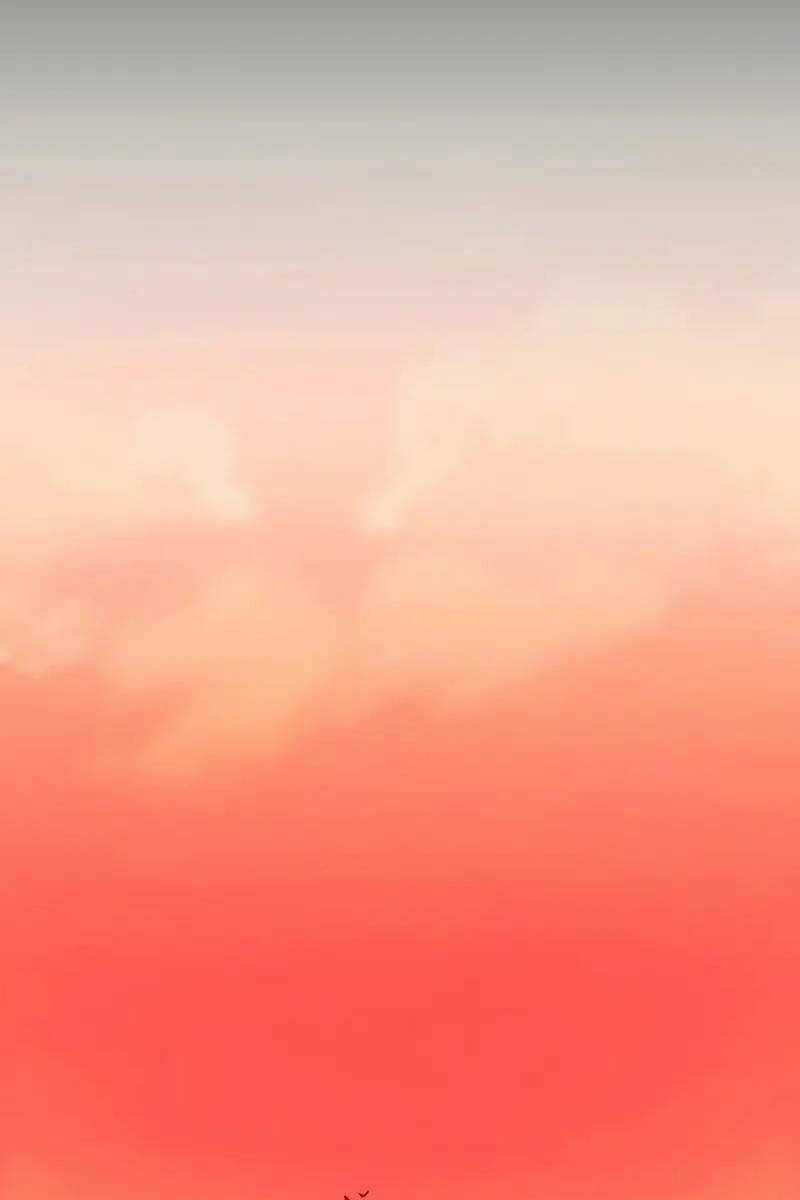 Ta Nhận Được Vật Phẩm Thần Thoại Chapter 96 trang 77