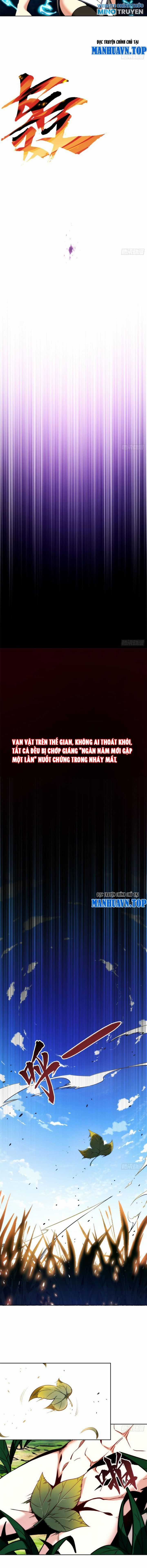 Ta Nhặt Đồ Bỏ Tại Tận Thế Chapter 1 trang 11