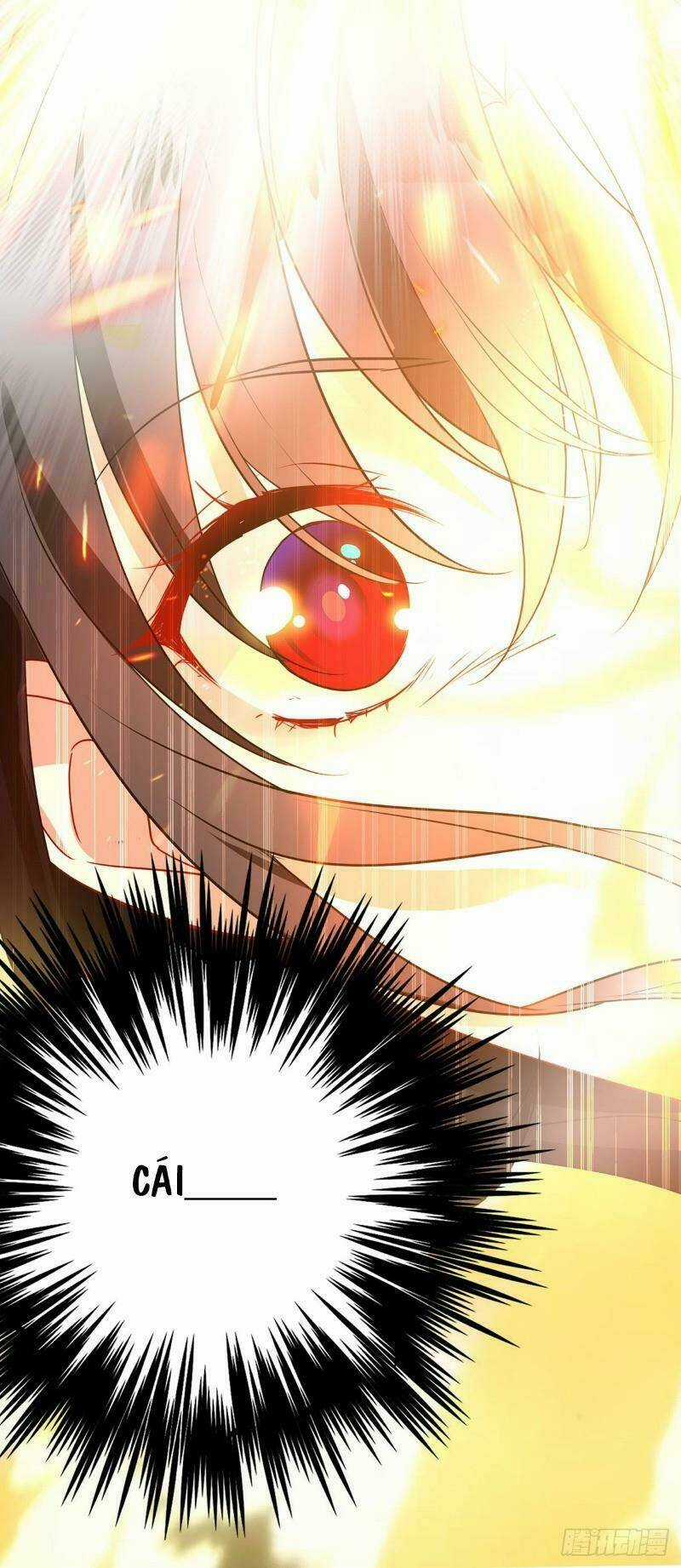 Ta Ở Dị Giới Nuôi Dưỡng Nam Thần: Thần Y Cửu Tiểu Thư Chapter 1 trang 13