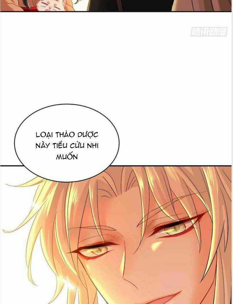 Ta Ở Dị Giới Nuôi Dưỡng Nam Thần: Thần Y Cửu Tiểu Thư Chapter 111 trang 15