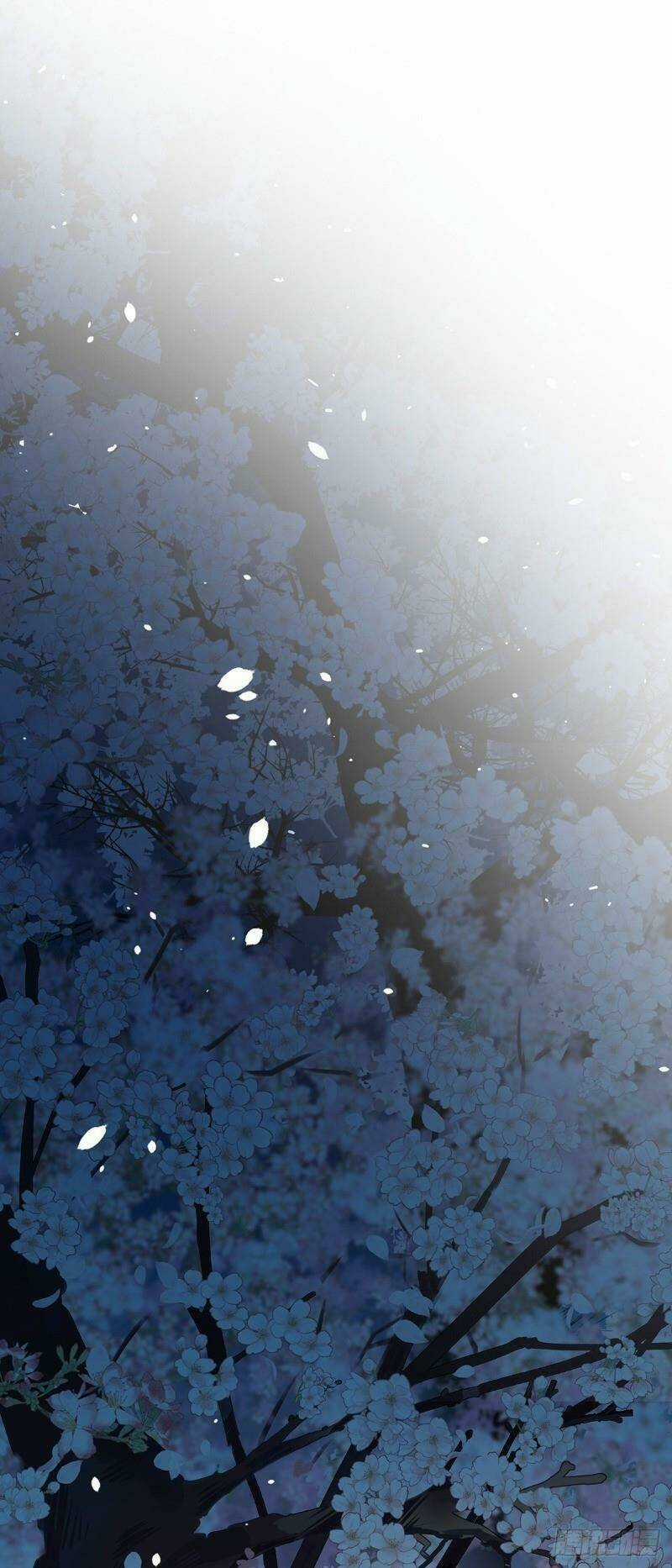 Ta Ở Dị Giới Nuôi Dưỡng Nam Thần: Thần Y Cửu Tiểu Thư Chapter 12 trang 3