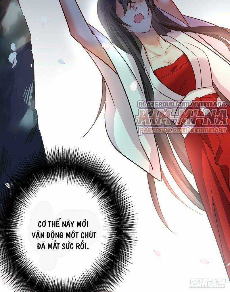 Ta Ở Dị Giới Nuôi Dưỡng Nam Thần: Thần Y Cửu Tiểu Thư Chapter 12 trang 5