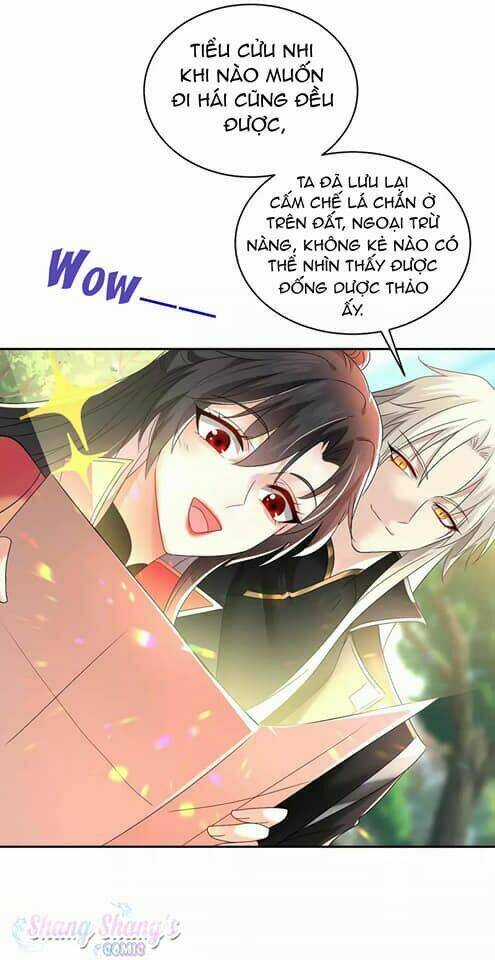 Ta Ở Dị Giới Nuôi Dưỡng Nam Thần: Thần Y Cửu Tiểu Thư Chapter 128 trang 28