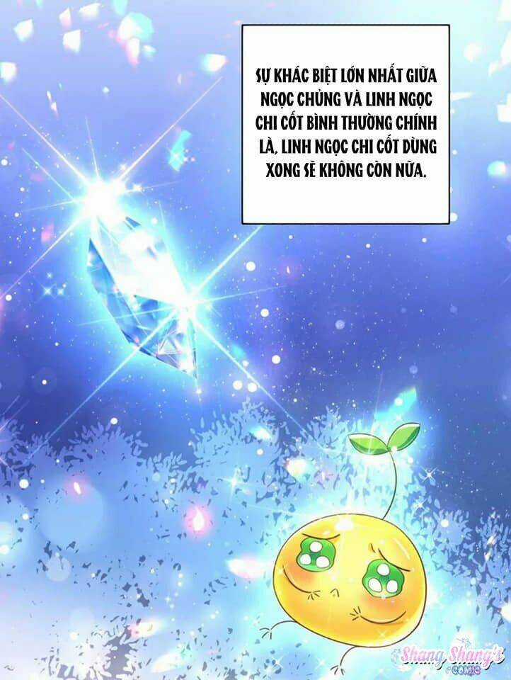 Ta Ở Dị Giới Nuôi Dưỡng Nam Thần: Thần Y Cửu Tiểu Thư Chapter 136 trang 27