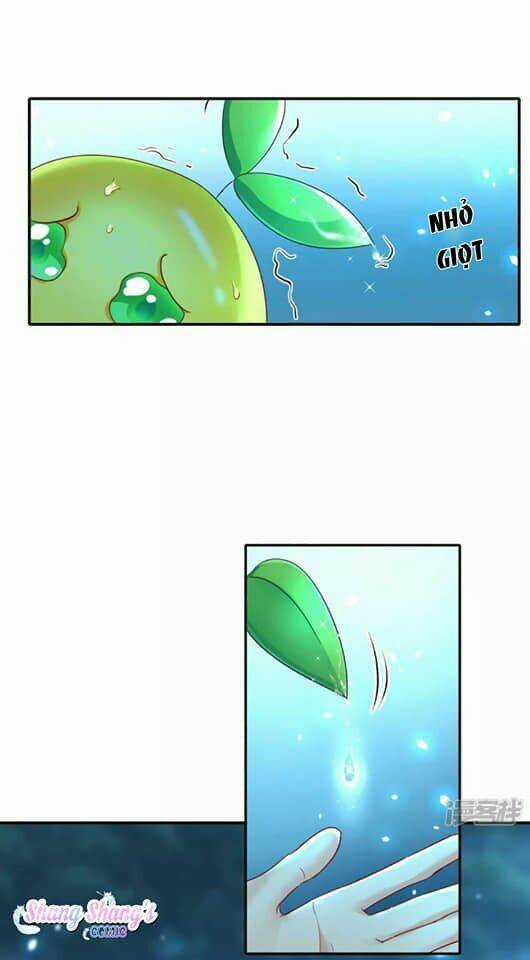 Ta Ở Dị Giới Nuôi Dưỡng Nam Thần: Thần Y Cửu Tiểu Thư Chapter 136 trang 31