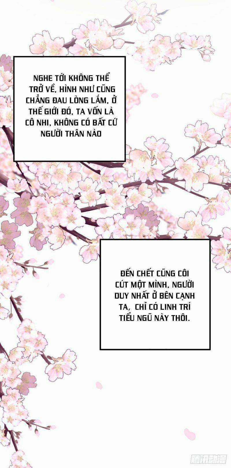 Ta Ở Dị Giới Nuôi Dưỡng Nam Thần: Thần Y Cửu Tiểu Thư Chapter 14 trang 17