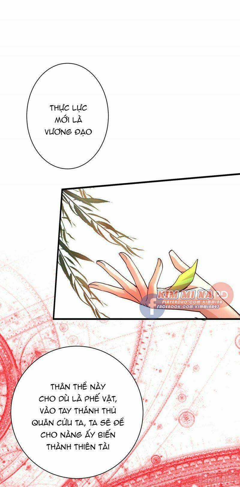 Ta Ở Dị Giới Nuôi Dưỡng Nam Thần: Thần Y Cửu Tiểu Thư Chapter 15 trang 4