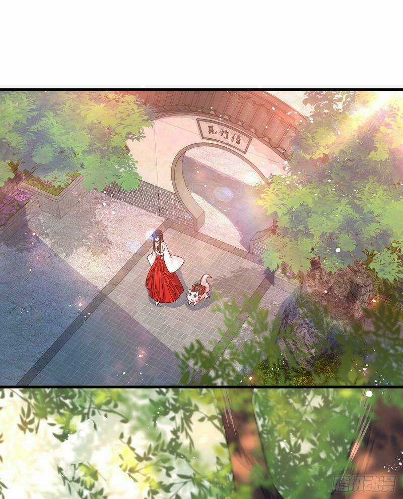 Ta Ở Dị Giới Nuôi Dưỡng Nam Thần: Thần Y Cửu Tiểu Thư Chapter 17 trang 21