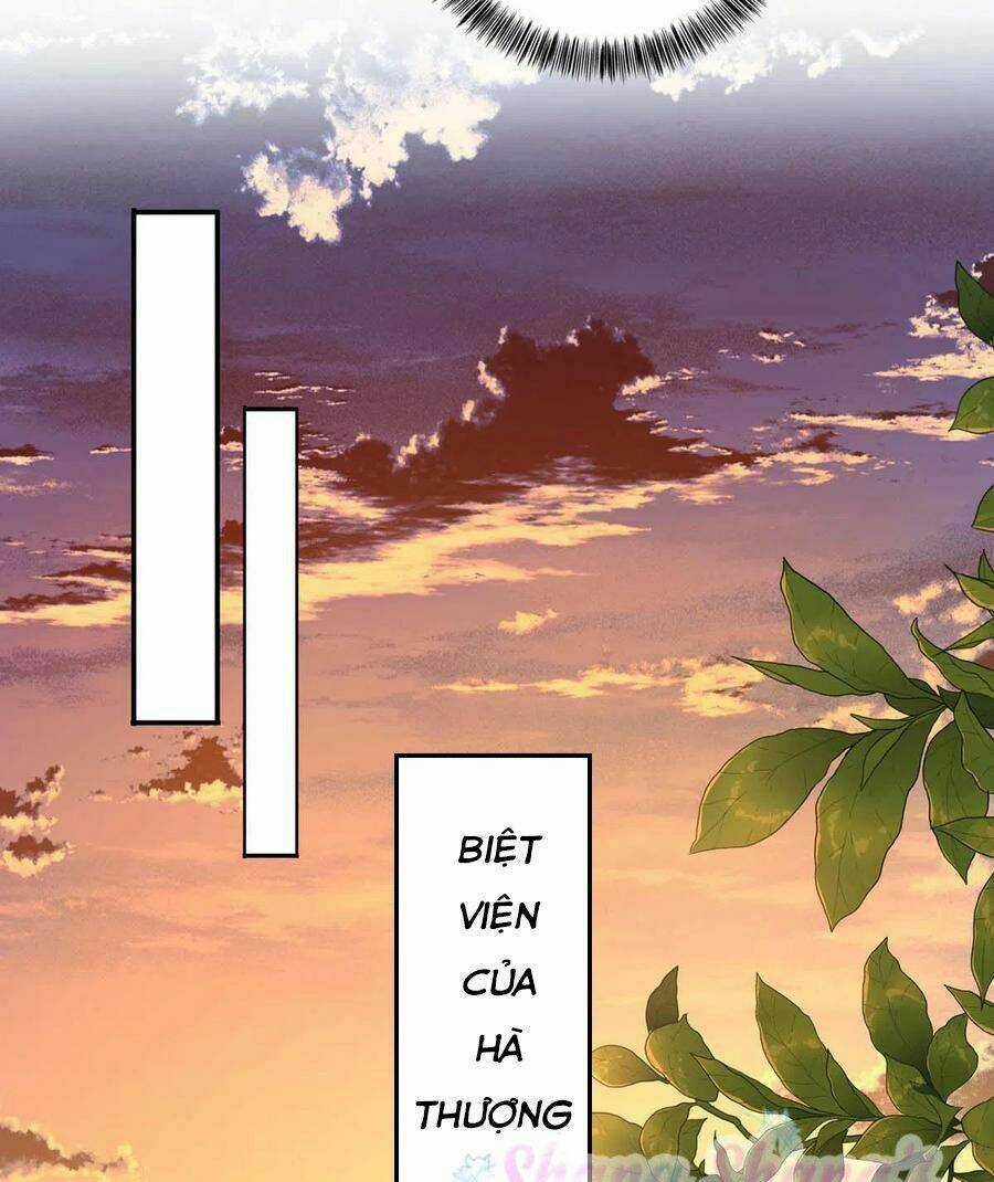 Ta Ở Dị Giới Nuôi Dưỡng Nam Thần: Thần Y Cửu Tiểu Thư Chapter 171 trang 30