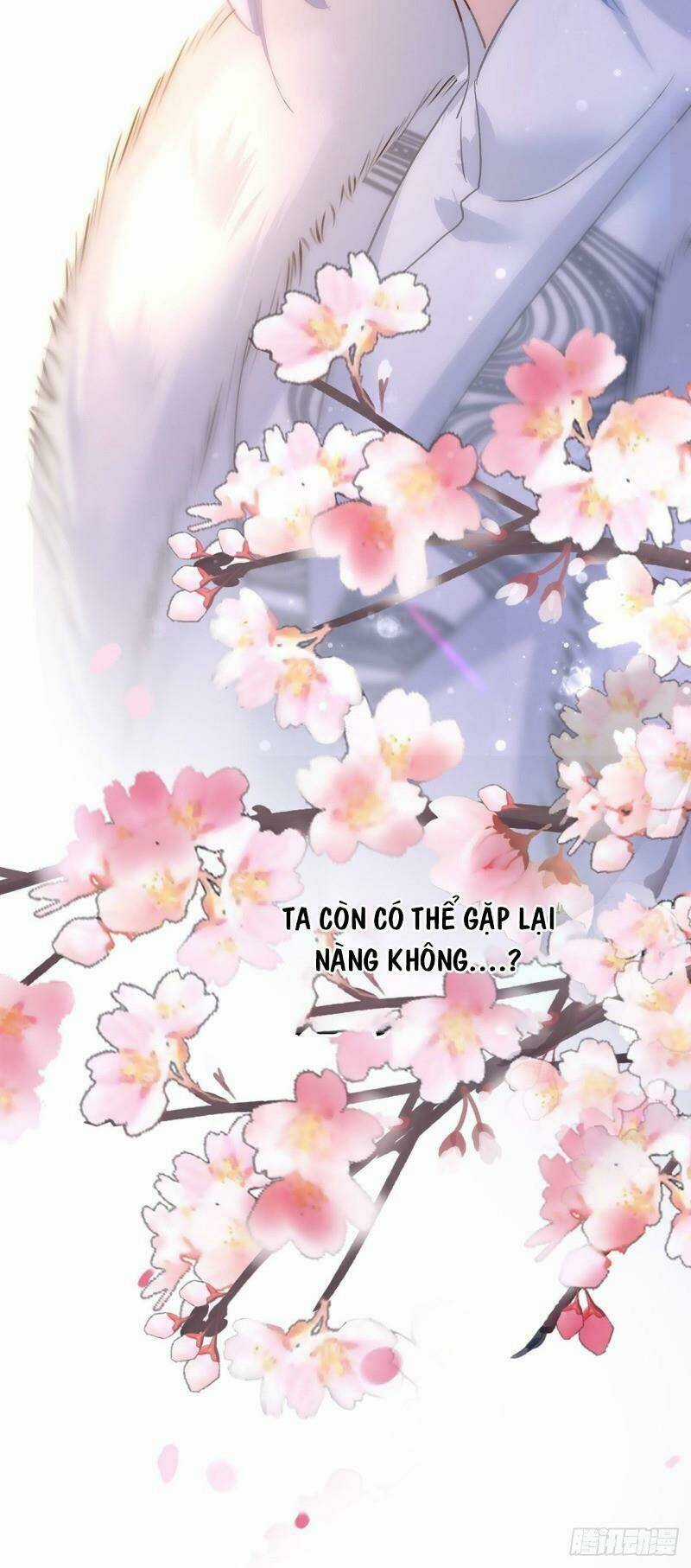 Ta Ở Dị Giới Nuôi Dưỡng Nam Thần: Thần Y Cửu Tiểu Thư Chapter 20 trang 28