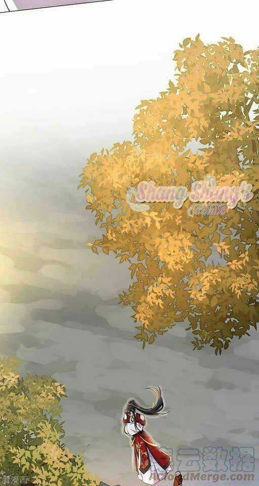 Ta Ở Dị Giới Nuôi Dưỡng Nam Thần: Thần Y Cửu Tiểu Thư Chapter 200 trang 3