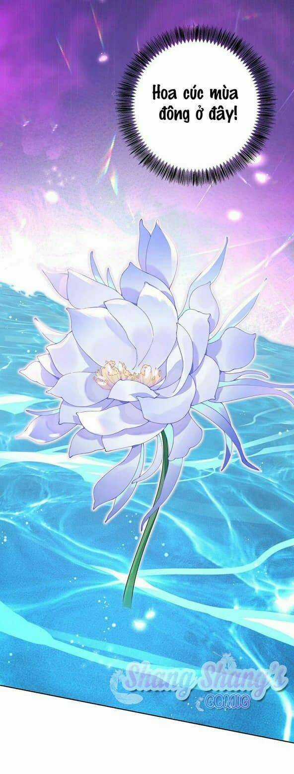 Ta Ở Dị Giới Nuôi Dưỡng Nam Thần: Thần Y Cửu Tiểu Thư Chapter 203 trang 13