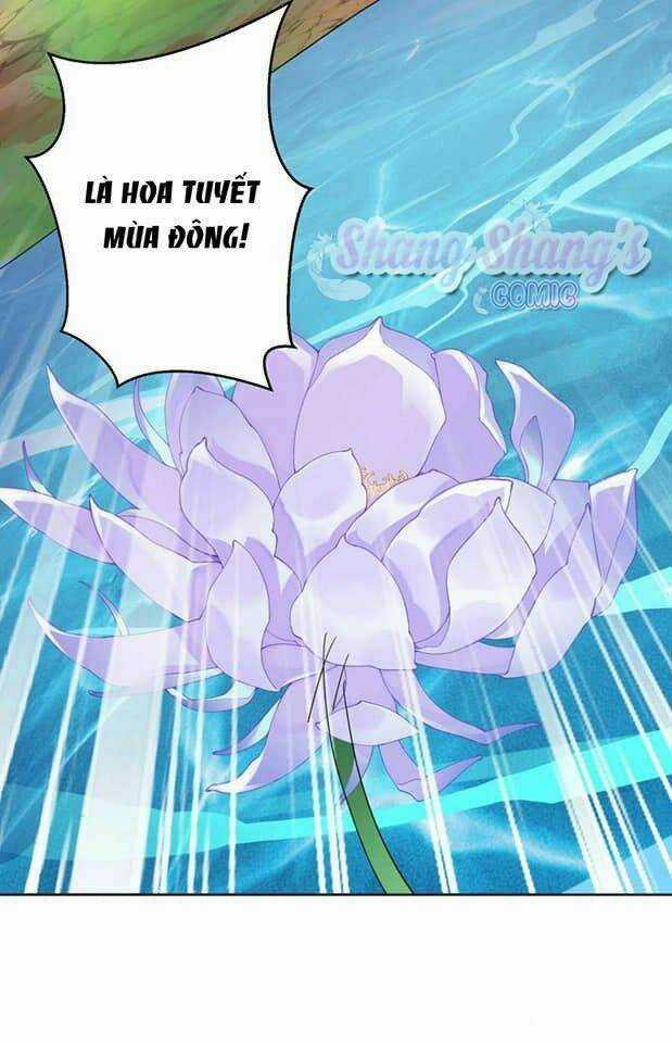 Ta Ở Dị Giới Nuôi Dưỡng Nam Thần: Thần Y Cửu Tiểu Thư Chapter 203 trang 29