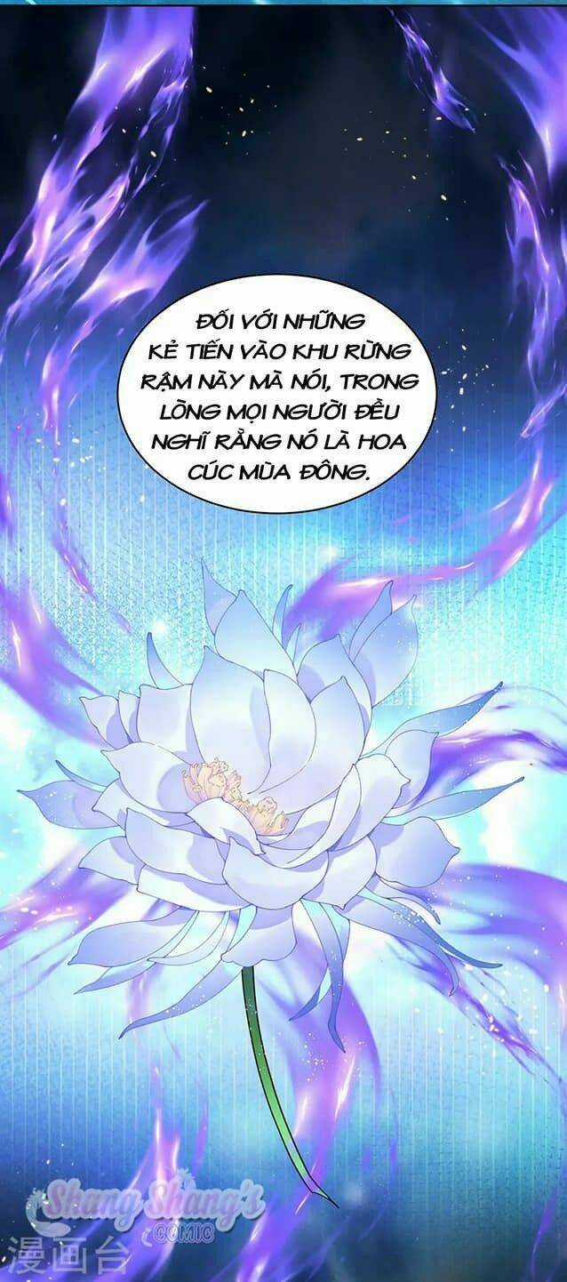 Ta Ở Dị Giới Nuôi Dưỡng Nam Thần: Thần Y Cửu Tiểu Thư Chapter 204 trang 19