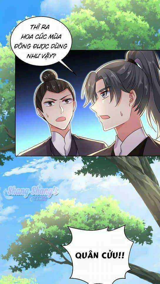 Ta Ở Dị Giới Nuôi Dưỡng Nam Thần: Thần Y Cửu Tiểu Thư Chapter 208 trang 17