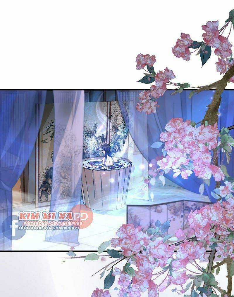 Ta Ở Dị Giới Nuôi Dưỡng Nam Thần: Thần Y Cửu Tiểu Thư Chapter 21 trang 1