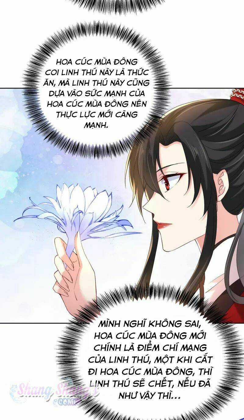 Ta Ở Dị Giới Nuôi Dưỡng Nam Thần: Thần Y Cửu Tiểu Thư Chapter 214 trang 17