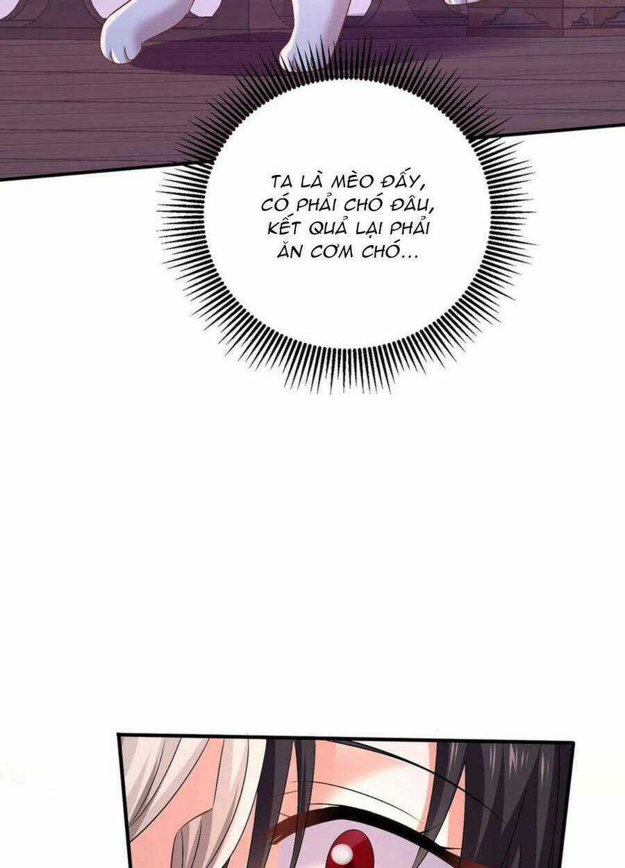 Ta Ở Dị Giới Nuôi Dưỡng Nam Thần: Thần Y Cửu Tiểu Thư Chapter 225 trang 19