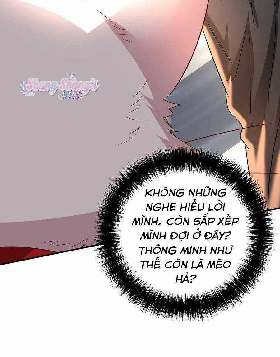 Ta Ở Dị Giới Nuôi Dưỡng Nam Thần: Thần Y Cửu Tiểu Thư Chapter 227 trang 29