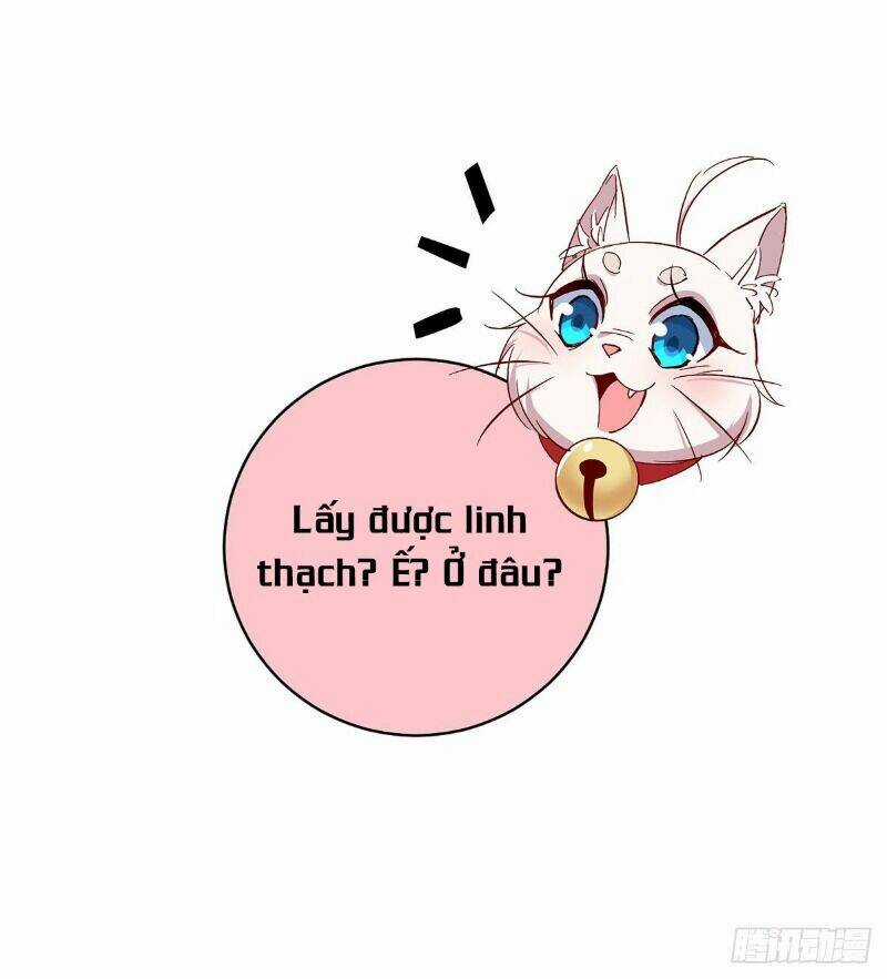 Ta Ở Dị Giới Nuôi Dưỡng Nam Thần: Thần Y Cửu Tiểu Thư Chapter 23 trang 11