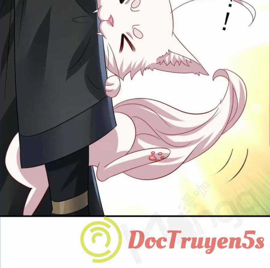 Ta Ở Dị Giới Nuôi Dưỡng Nam Thần: Thần Y Cửu Tiểu Thư Chapter 241 trang 41