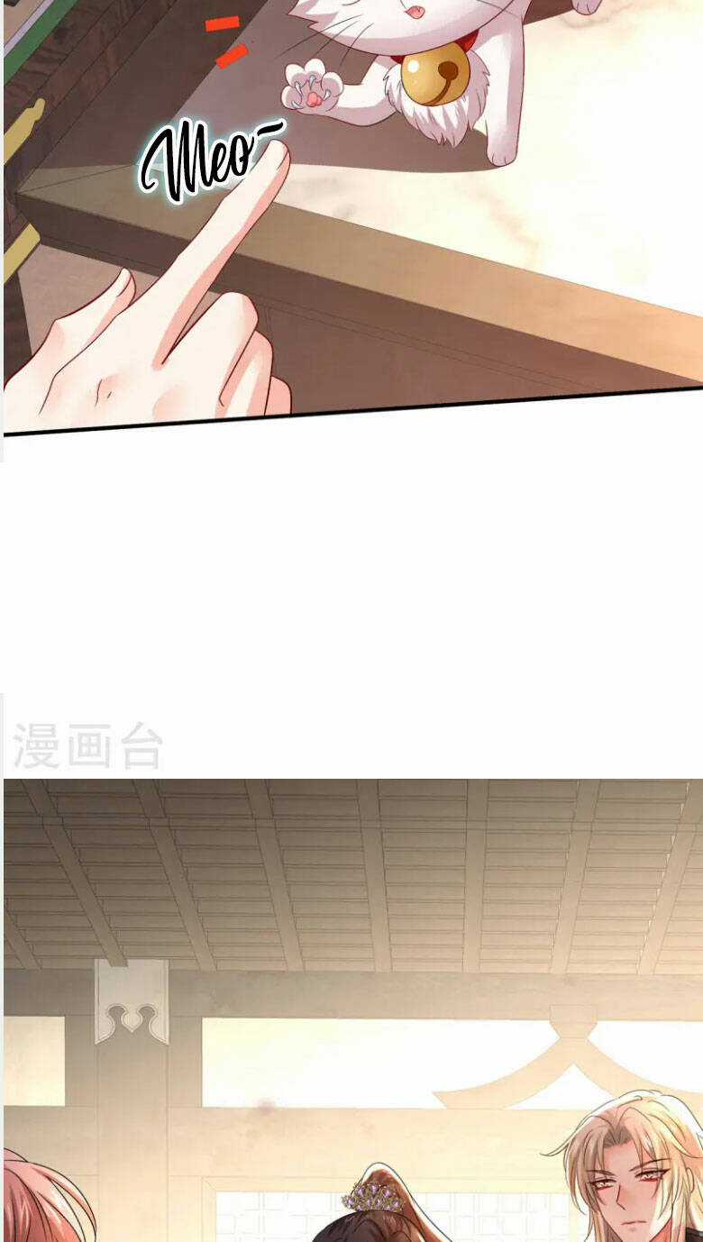 Ta Ở Dị Giới Nuôi Dưỡng Nam Thần: Thần Y Cửu Tiểu Thư Chapter 255 trang 23