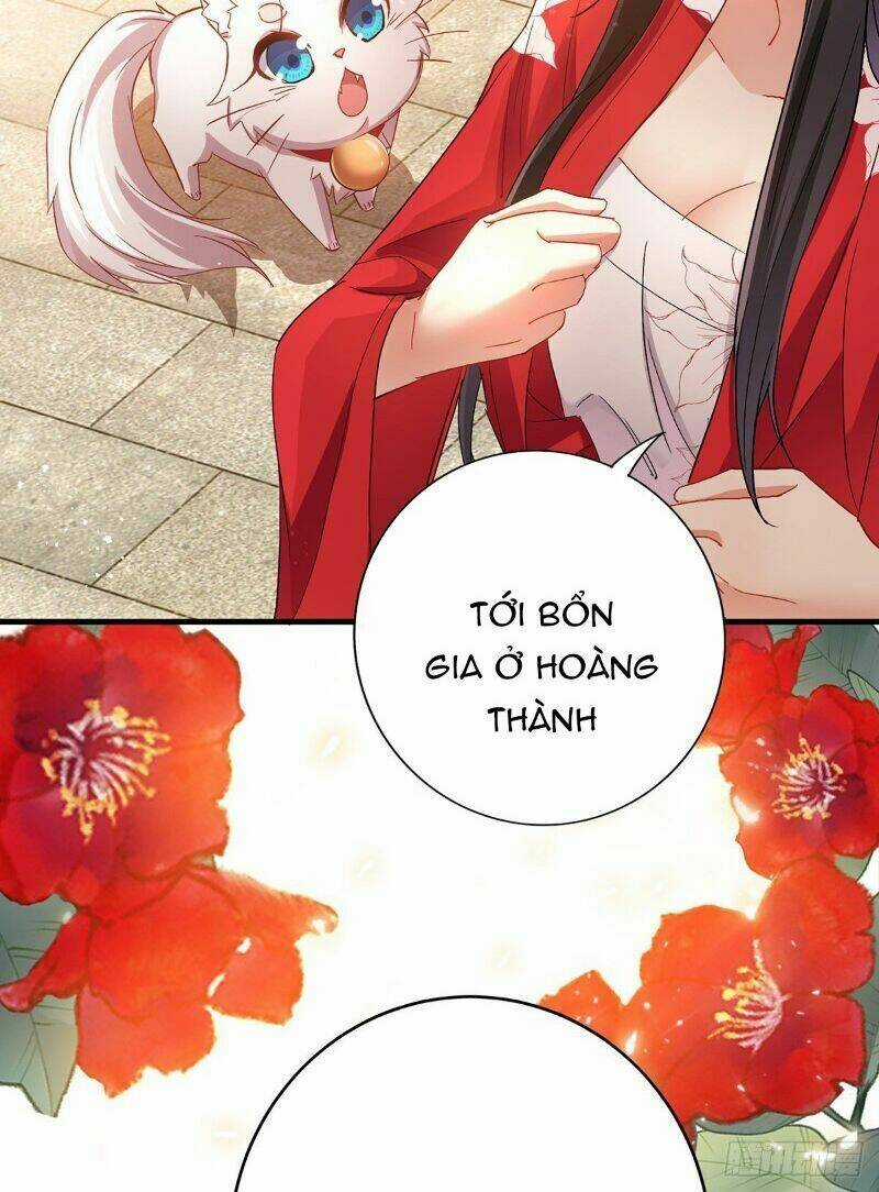 Ta Ở Dị Giới Nuôi Dưỡng Nam Thần: Thần Y Cửu Tiểu Thư Chapter 28 trang 22