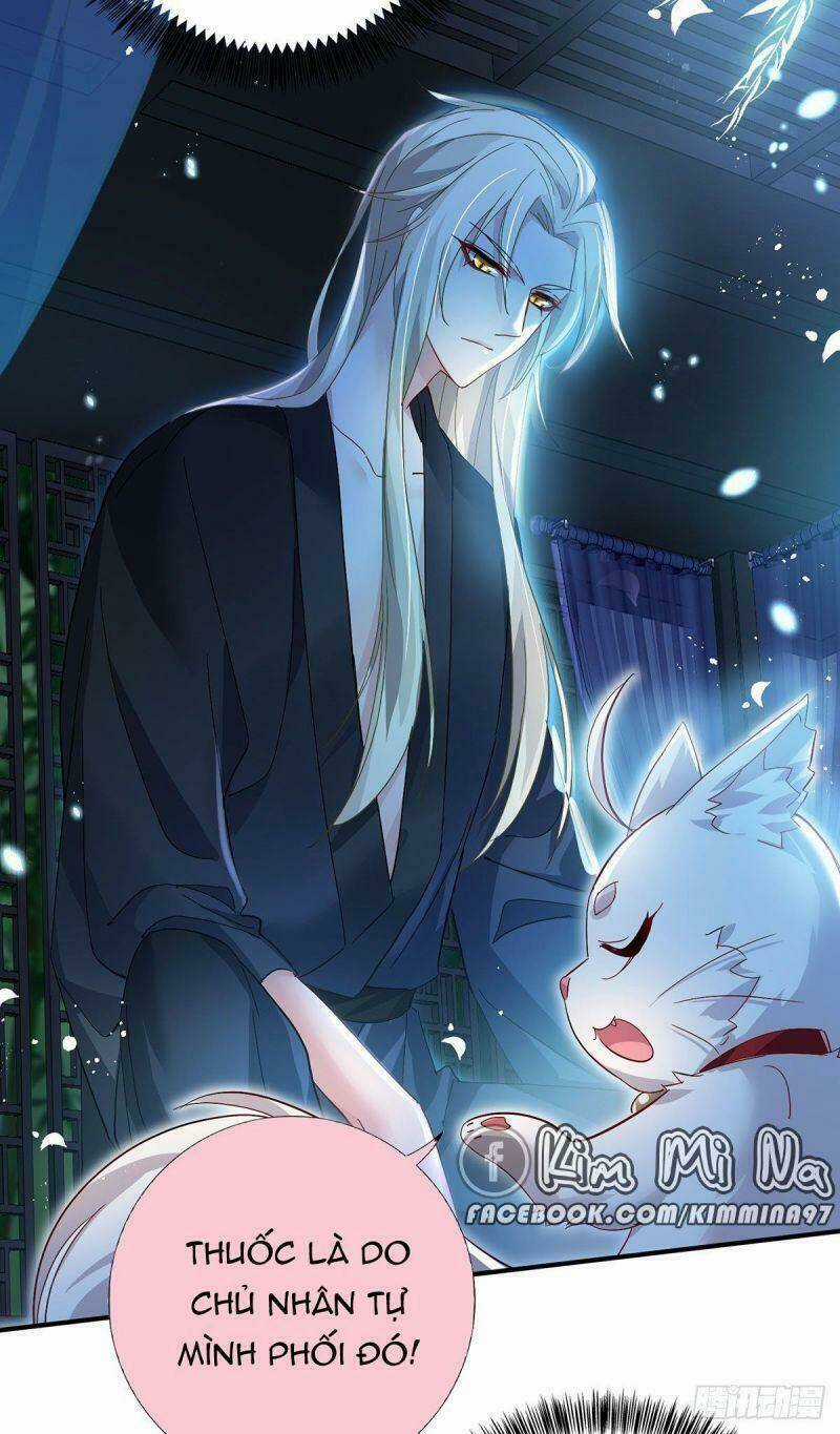 Ta Ở Dị Giới Nuôi Dưỡng Nam Thần: Thần Y Cửu Tiểu Thư Chapter 34 trang 21