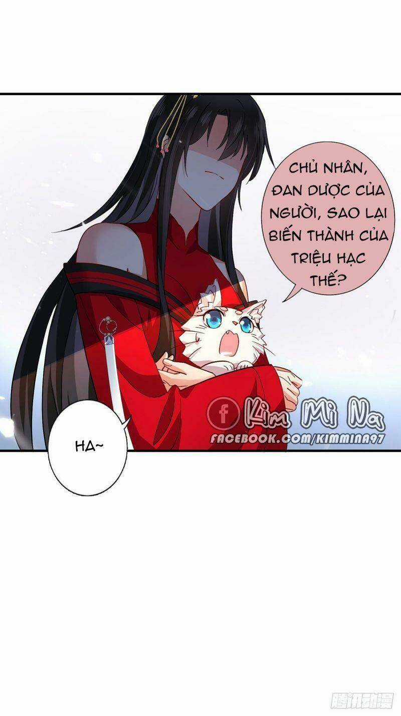 Ta Ở Dị Giới Nuôi Dưỡng Nam Thần: Thần Y Cửu Tiểu Thư Chapter 38 trang 25