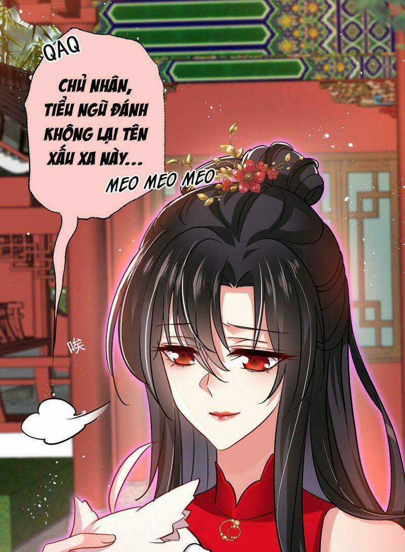 Ta Ở Dị Giới Nuôi Dưỡng Nam Thần: Thần Y Cửu Tiểu Thư Chapter 48 trang 6
