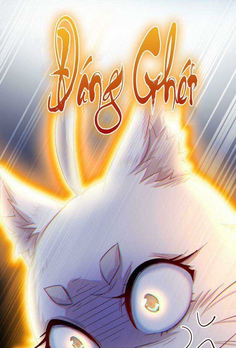 Ta Ở Dị Giới Nuôi Dưỡng Nam Thần: Thần Y Cửu Tiểu Thư Chapter 50 trang 21