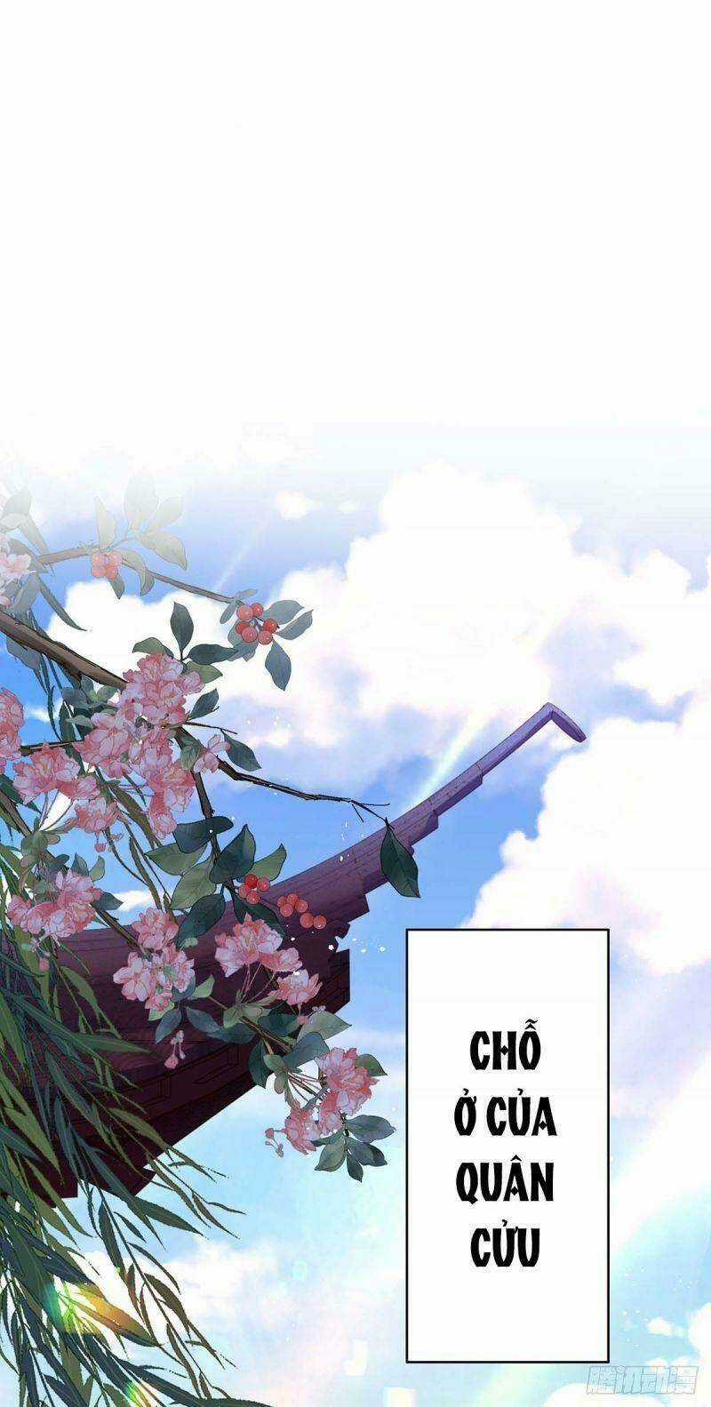 Ta Ở Dị Giới Nuôi Dưỡng Nam Thần: Thần Y Cửu Tiểu Thư Chapter 82 trang 19