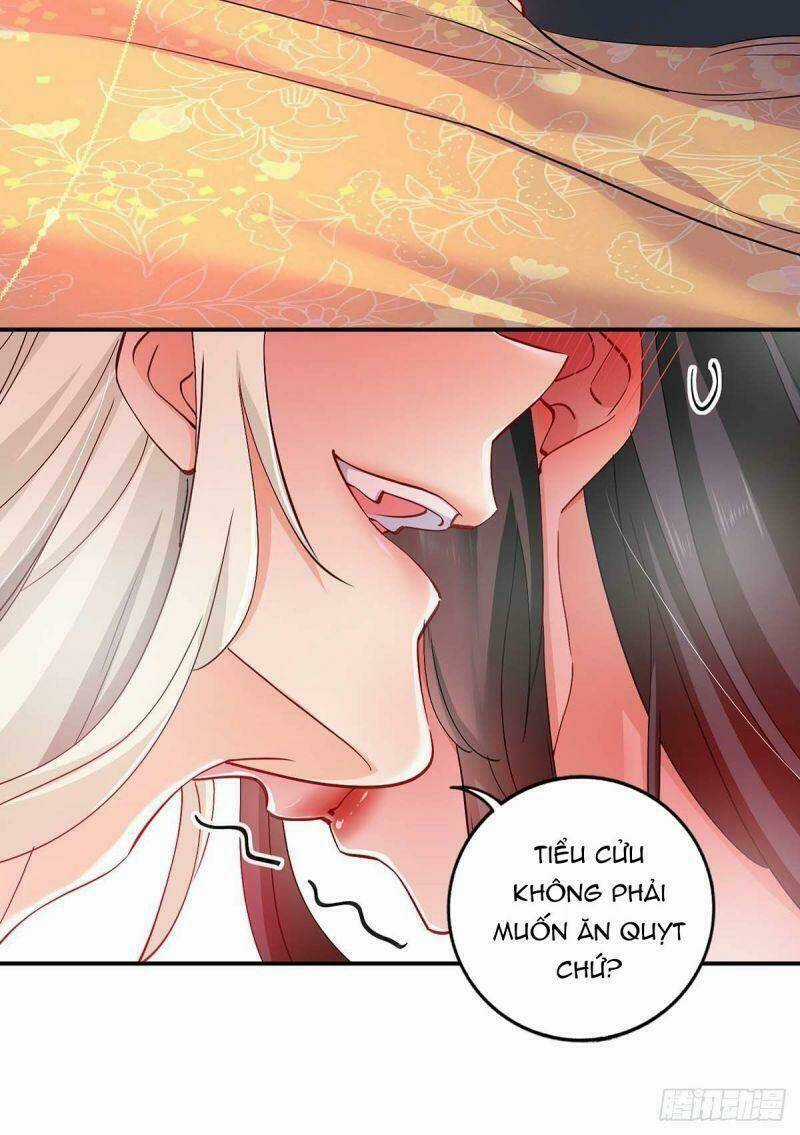 Ta Ở Dị Giới Nuôi Dưỡng Nam Thần: Thần Y Cửu Tiểu Thư Chapter 83 trang 6