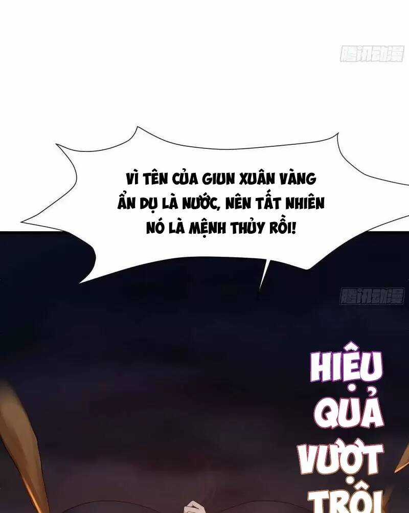 Ta Ở Địa Phủ Mở Hậu Cung Chapter 24 trang 40