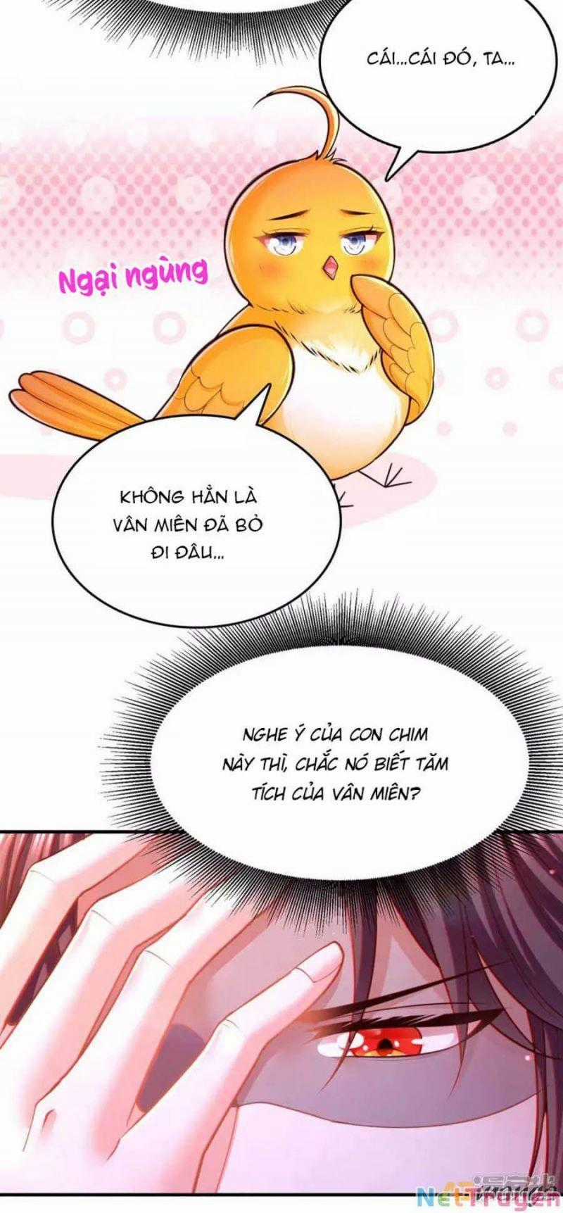 Ta Ở Hậu Cung Làm Lão Đại Chapter 101 trang 13