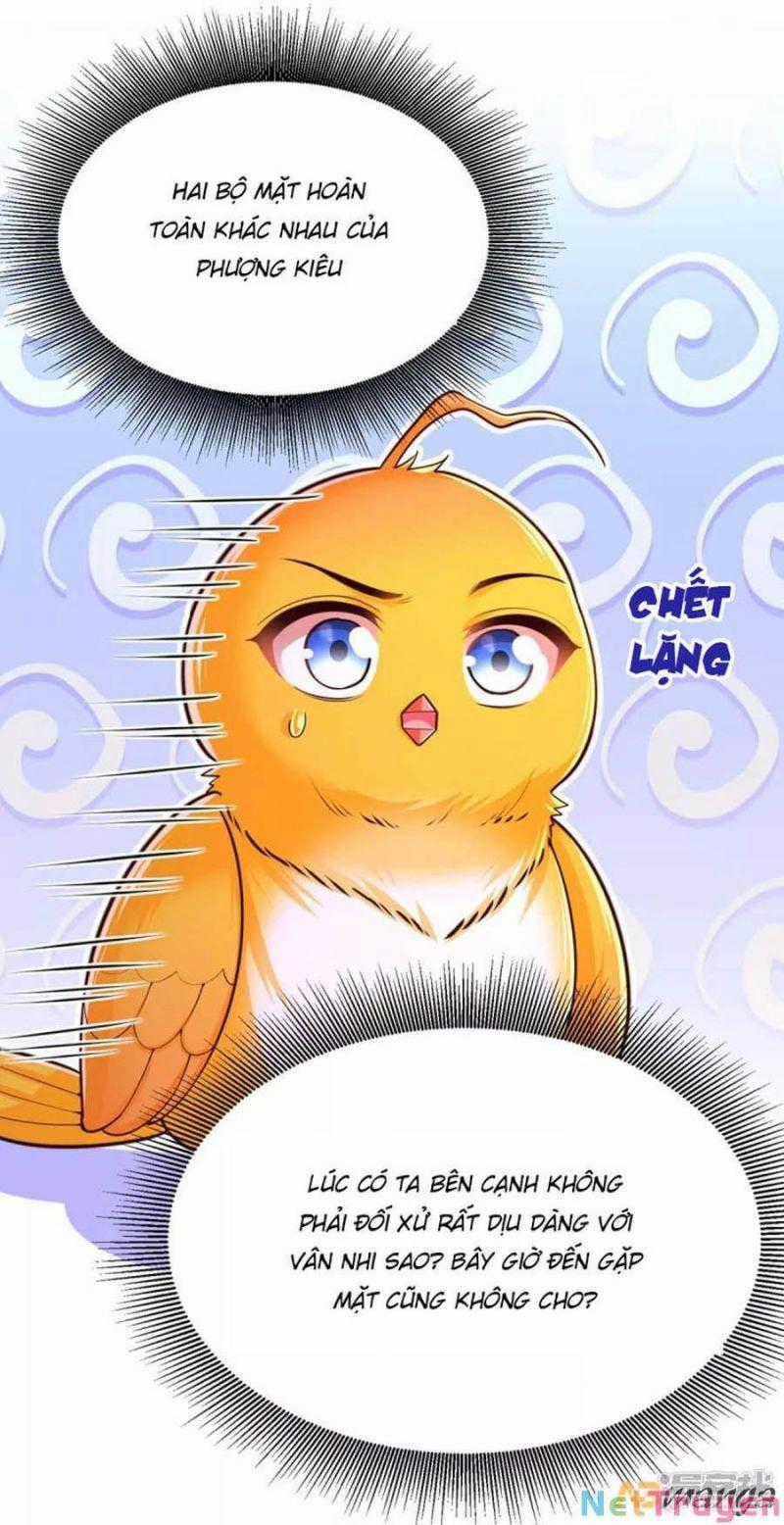 Ta Ở Hậu Cung Làm Lão Đại Chapter 101 trang 22
